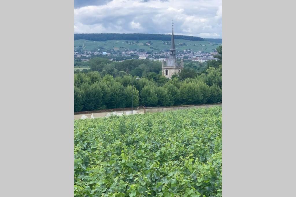 Hyper Centre Maison Le Petit Bouchon Ay-Champagne Zewnętrze zdjęcie